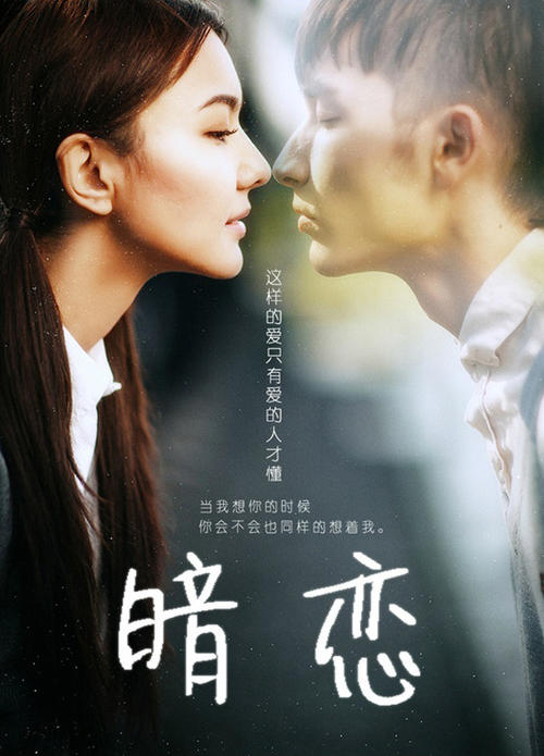 不动产权证的证书号码看哪个